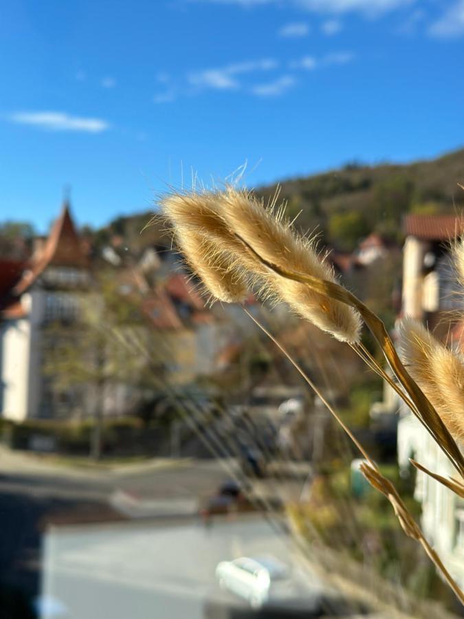 Ferienwohnung Turm.Blick Goslar Exterior foto